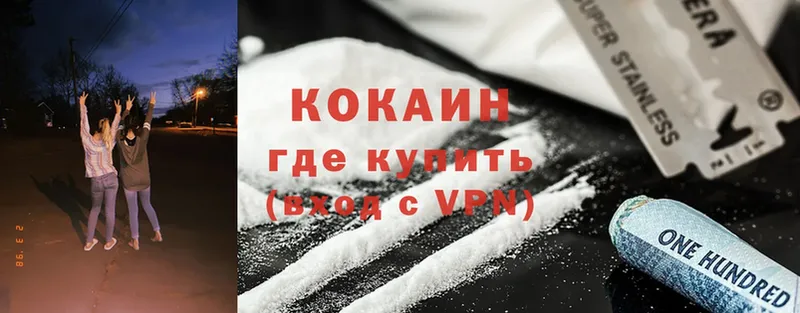 где купить наркоту  Славгород  Cocaine Fish Scale 